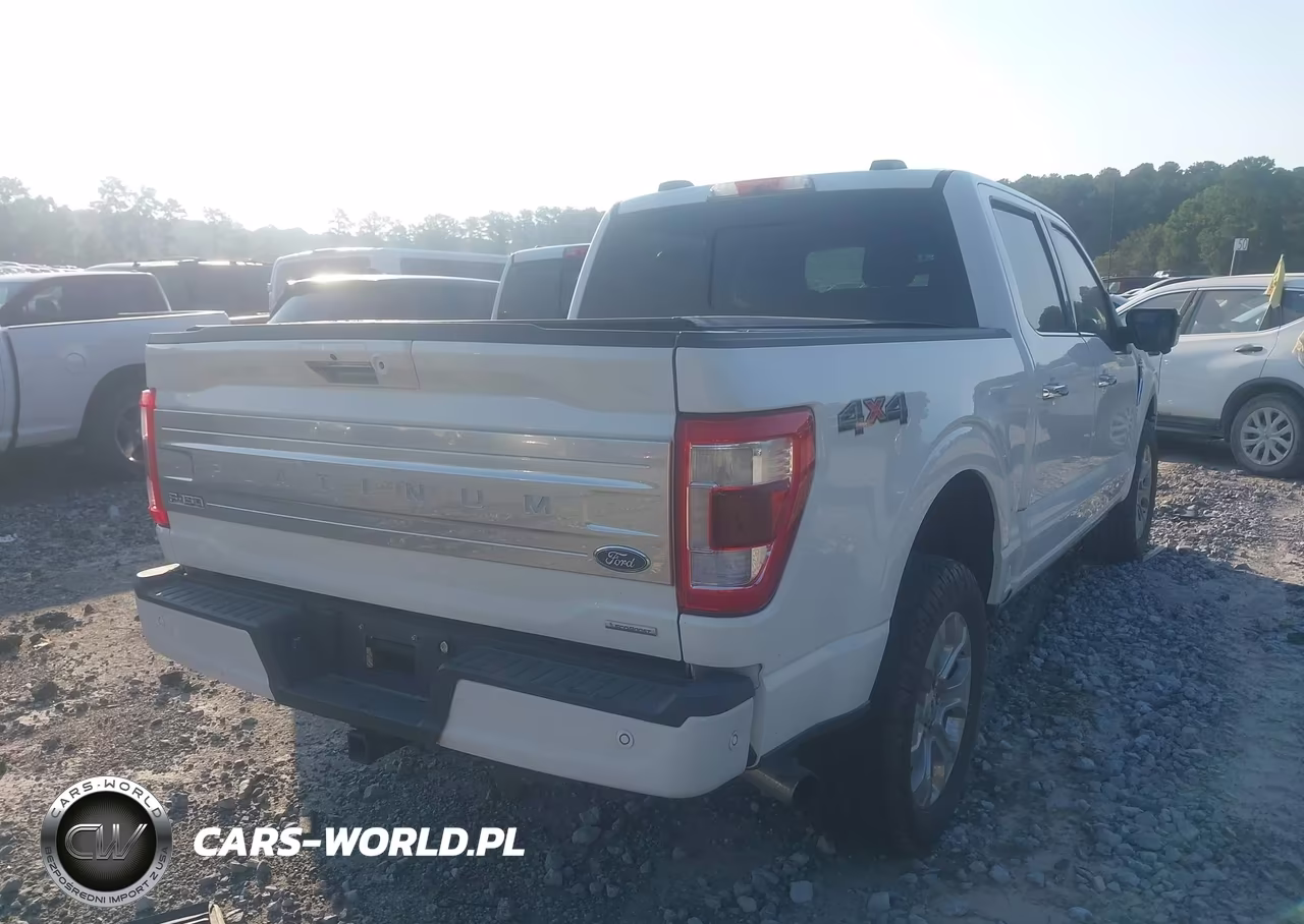 2021 Ford F-150 Platinum VIN:1FTFW1E82MFB74233 - 4