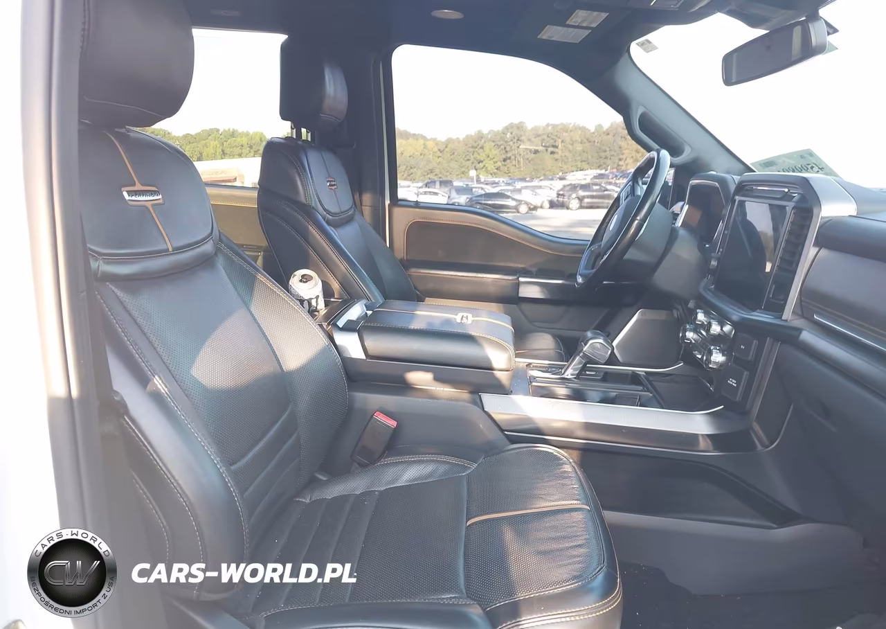 2021 Ford F-150 Platinum VIN:1FTFW1E82MFB74233 - 5