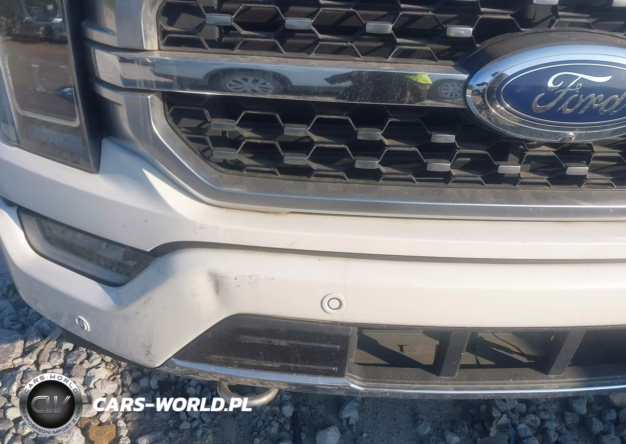 2021 Ford F-150 Platinum VIN:1FTFW1E82MFB74233 - 6