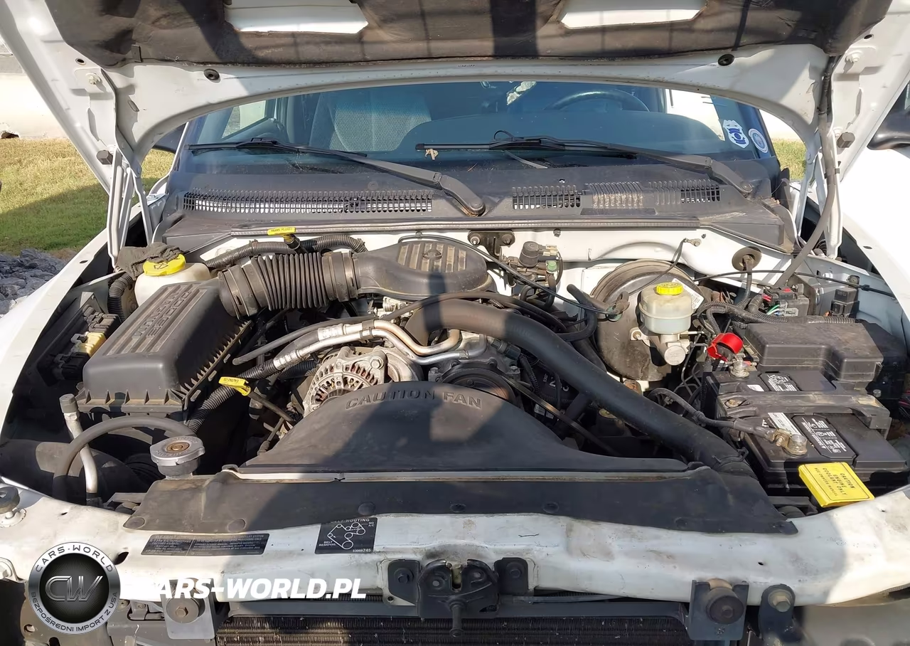 1999 Dodge Dakota Slt-Sport VIN:1B7GL22X8XS142249 - 10