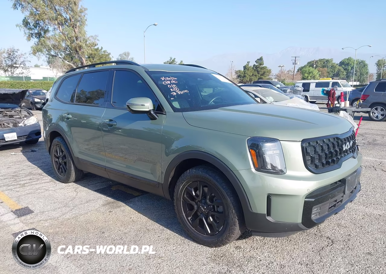 2024 Kia Telluride Sx Prestige X-Pro VIN:5XYP5DGC7RG512370 - 1