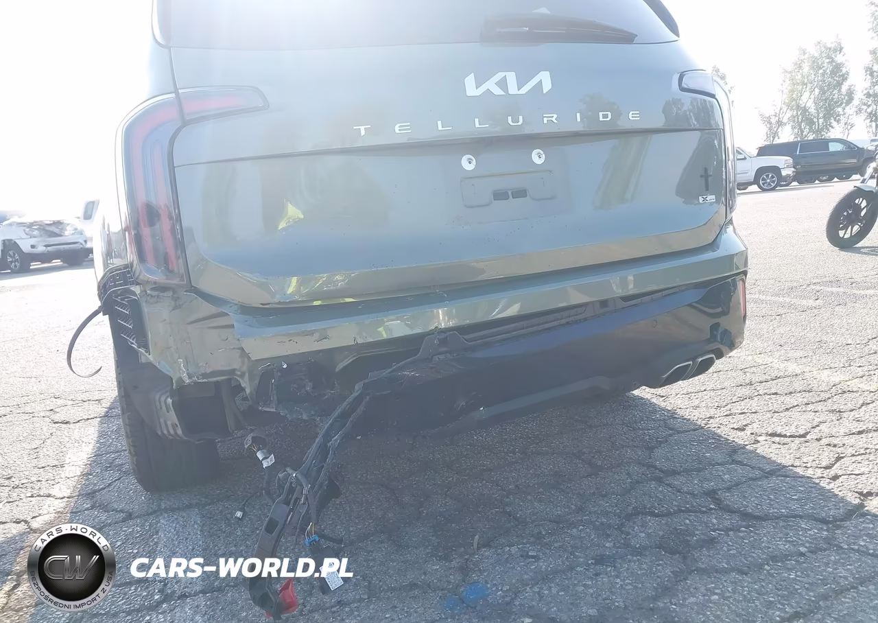 2024 Kia Telluride Sx Prestige X-Pro VIN:5XYP5DGC7RG512370 - 12