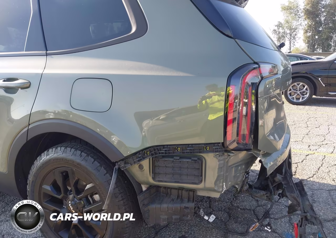 2024 Kia Telluride Sx Prestige X-Pro VIN:5XYP5DGC7RG512370 - 13