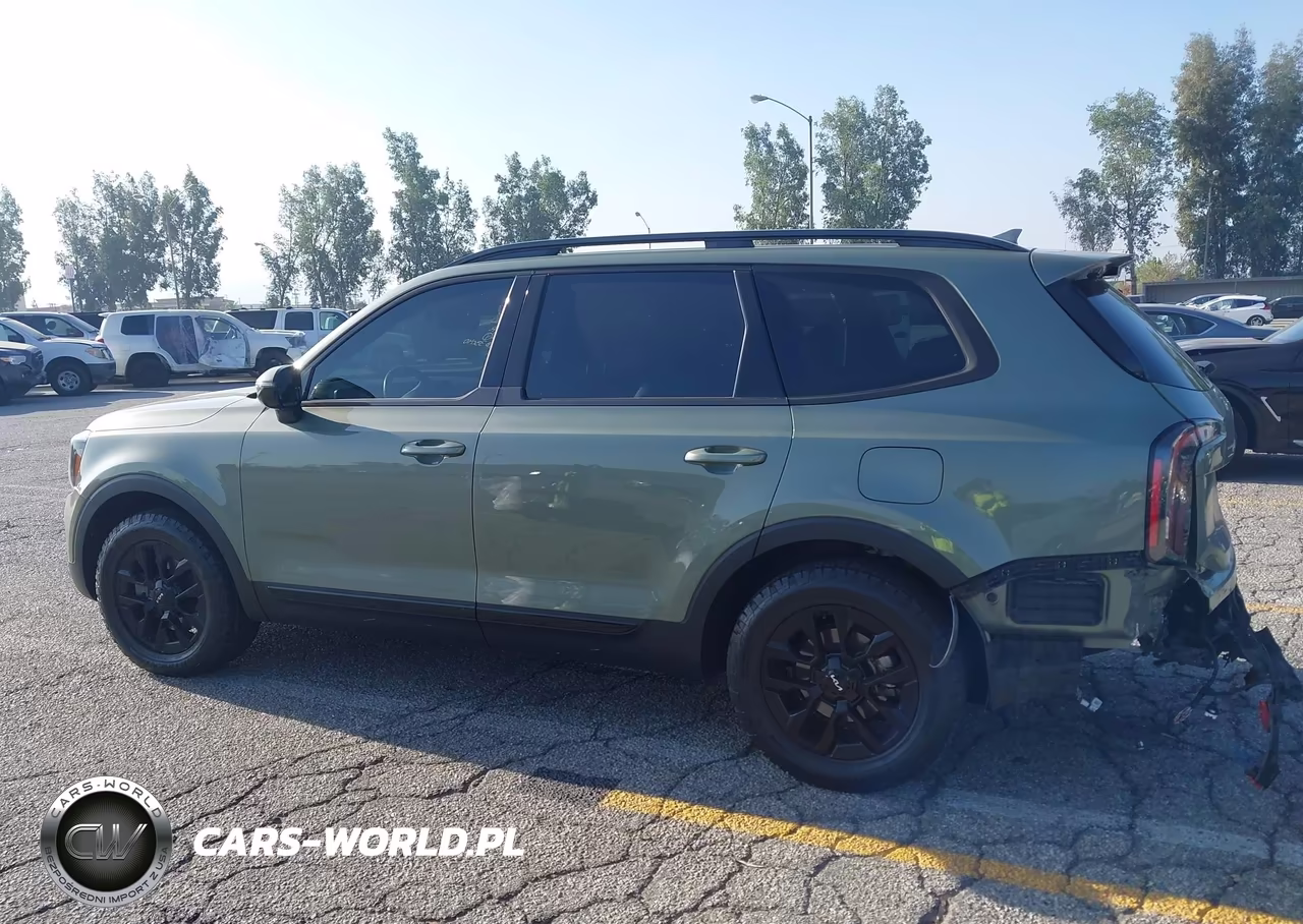 2024 Kia Telluride Sx Prestige X-Pro VIN:5XYP5DGC7RG512370 - 16