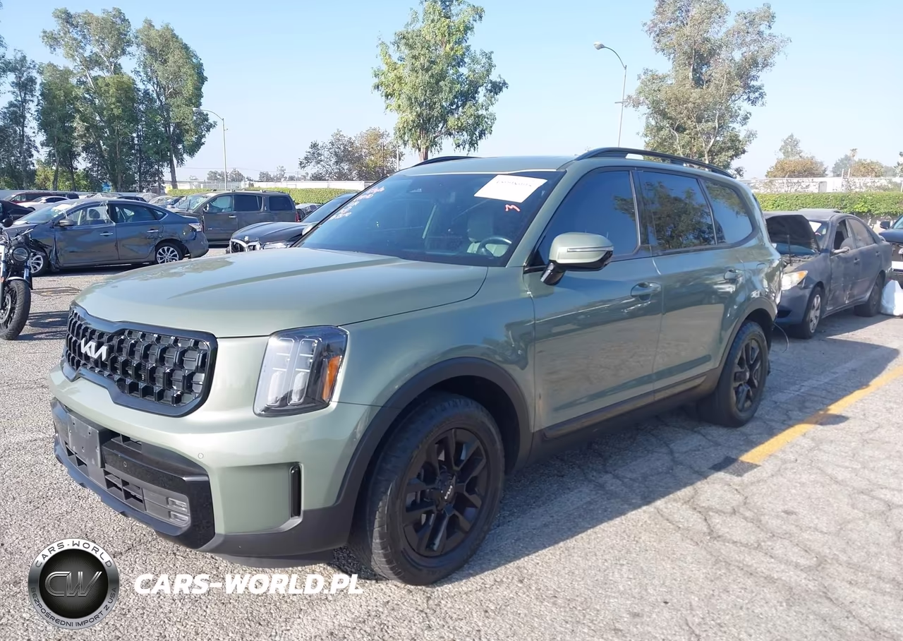 2024 Kia Telluride Sx Prestige X-Pro VIN:5XYP5DGC7RG512370 - 2