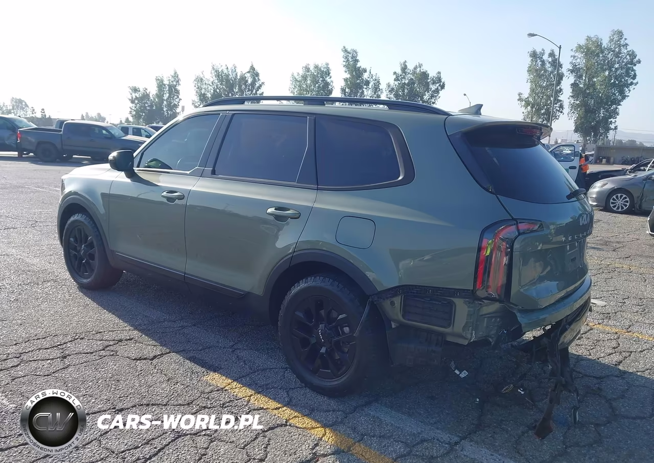 2024 Kia Telluride Sx Prestige X-Pro VIN:5XYP5DGC7RG512370 - 3