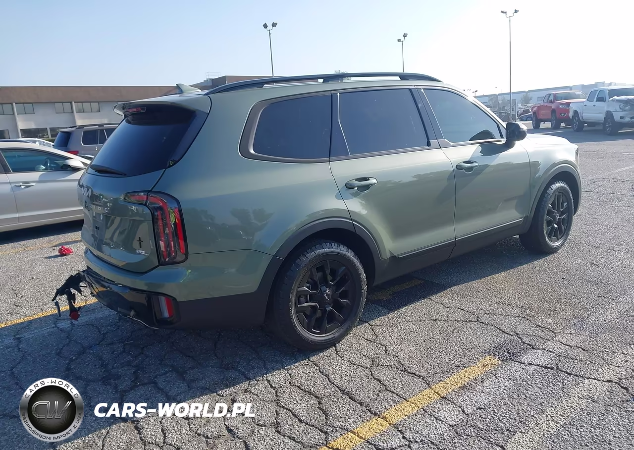 2024 Kia Telluride Sx Prestige X-Pro VIN:5XYP5DGC7RG512370 - 4