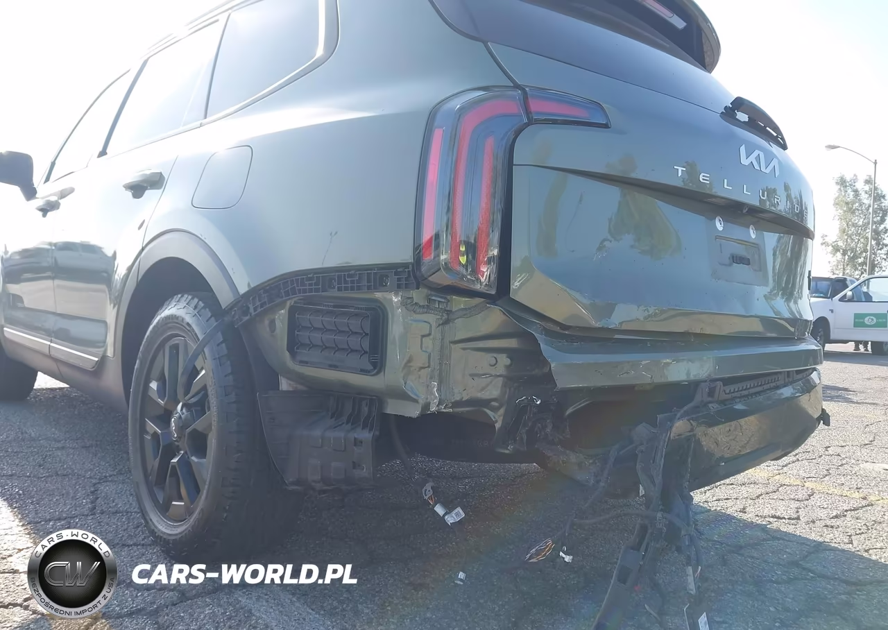 2024 Kia Telluride Sx Prestige X-Pro VIN:5XYP5DGC7RG512370 - 6