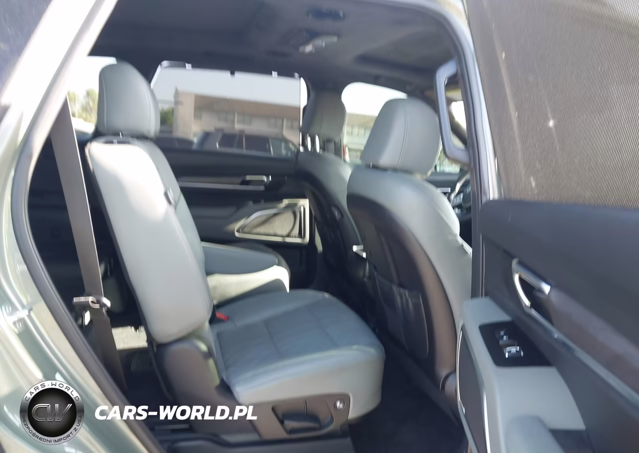 2024 Kia Telluride Sx Prestige X-Pro VIN:5XYP5DGC7RG512370 - 8