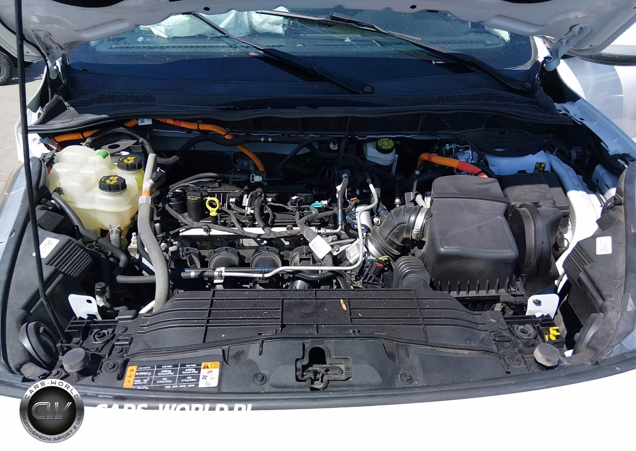 2021 Ford Escape Se Hybrid VIN:1FMCU0BZ1MUB22079 - 10