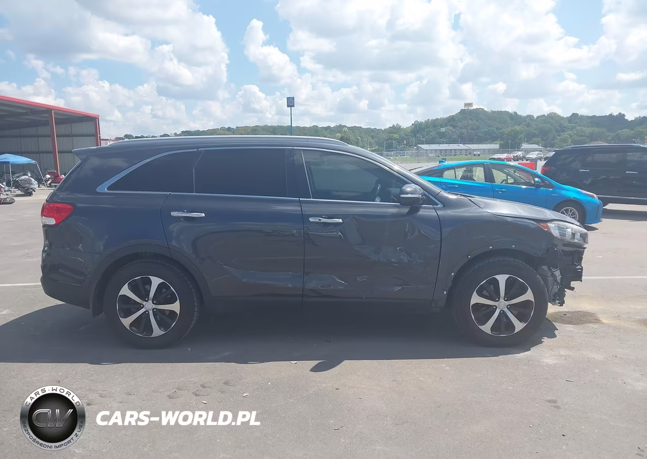 2016 Kia Sorento 3.3L Ex VIN:5XYPH4A52GG174309 - 12