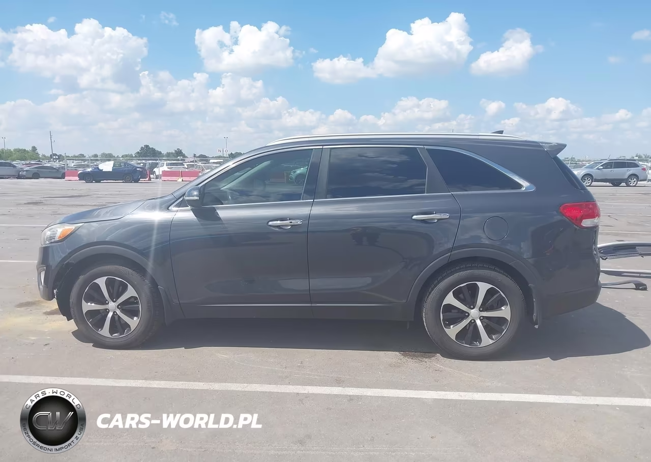 2016 Kia Sorento 3.3L Ex VIN:5XYPH4A52GG174309 - 13