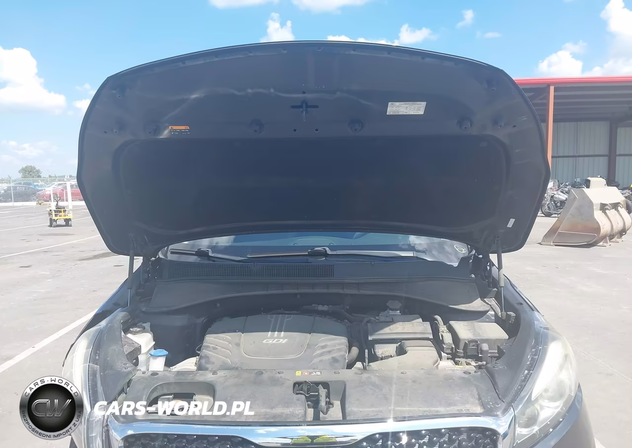 2016 Kia Sorento 3.3L Ex VIN:5XYPH4A52GG174309 - 8