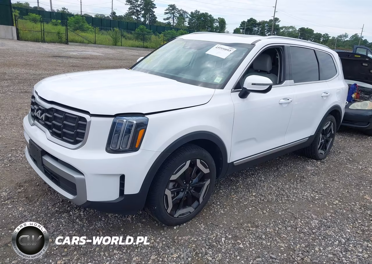 2023 Kia Telluride S VIN:5XYP6DGCXPG363317 - 2
