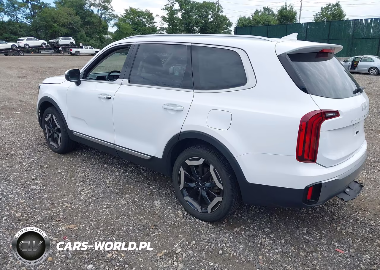 2023 Kia Telluride S VIN:5XYP6DGCXPG363317 - 3