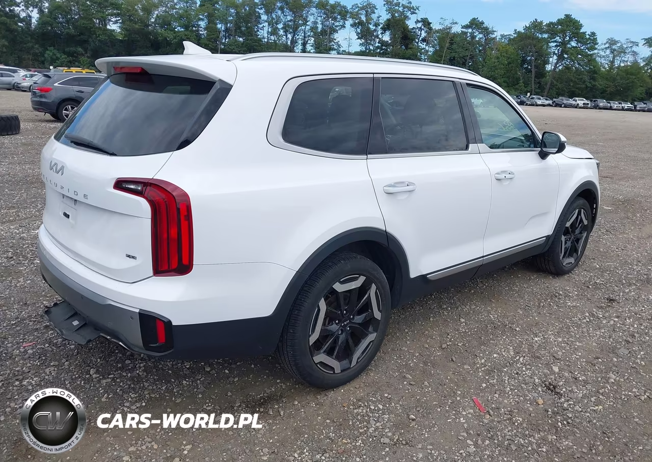 2023 Kia Telluride S VIN:5XYP6DGCXPG363317 - 4