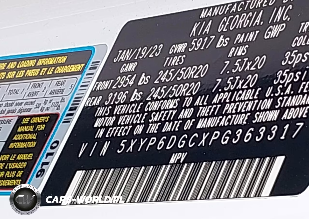 2023 Kia Telluride S VIN:5XYP6DGCXPG363317 - 9
