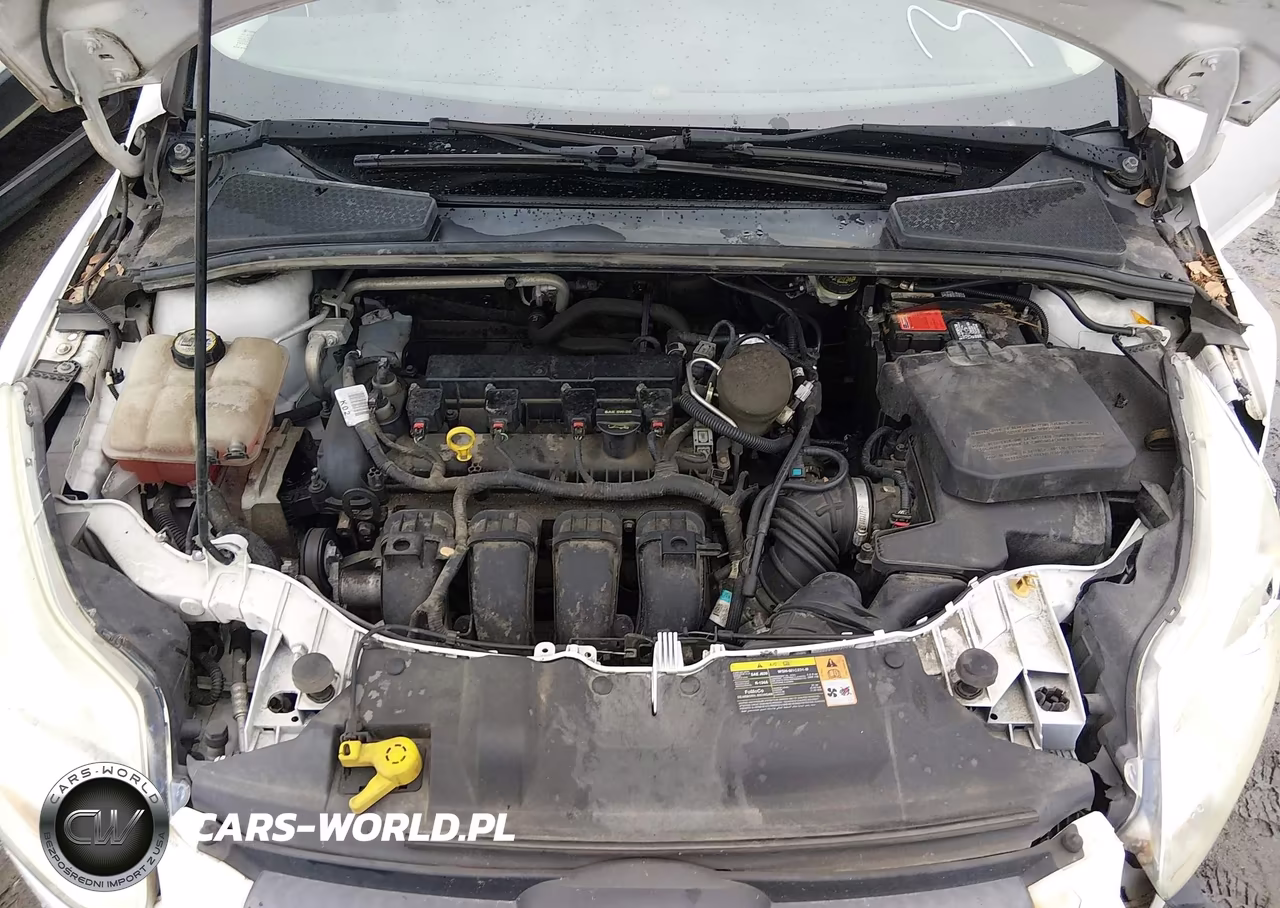 2013 Ford Focus Se VIN:1FADP3F27DL349433 - 10