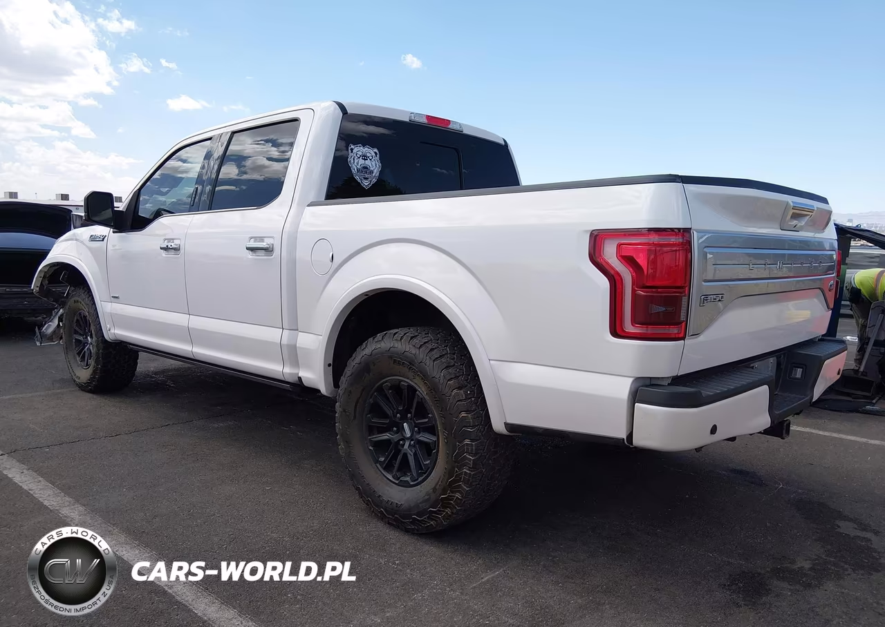2016 Ford F-150 Limited VIN:1FTEW1EG5GFC32973 - 3