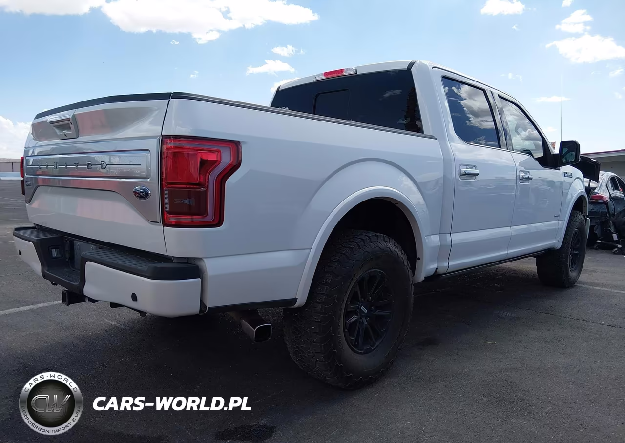 2016 Ford F-150 Limited VIN:1FTEW1EG5GFC32973 - 4