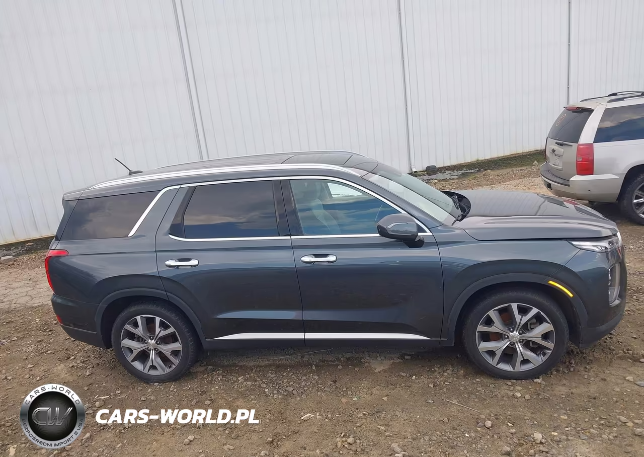 2020 Hyundai Palisade Sel VIN:KM8R3DHE5LU141208 - 13