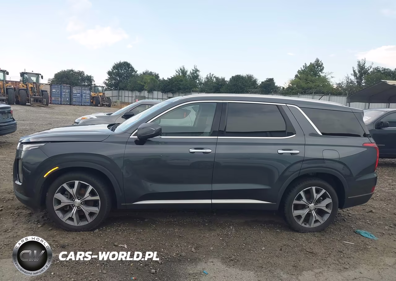 2020 Hyundai Palisade Sel VIN:KM8R3DHE5LU141208 - 14