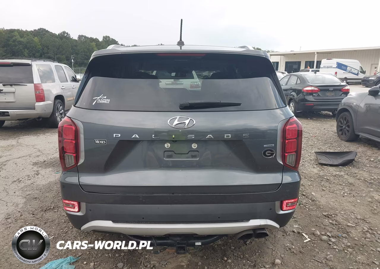 2020 Hyundai Palisade Sel VIN:KM8R3DHE5LU141208 - 16