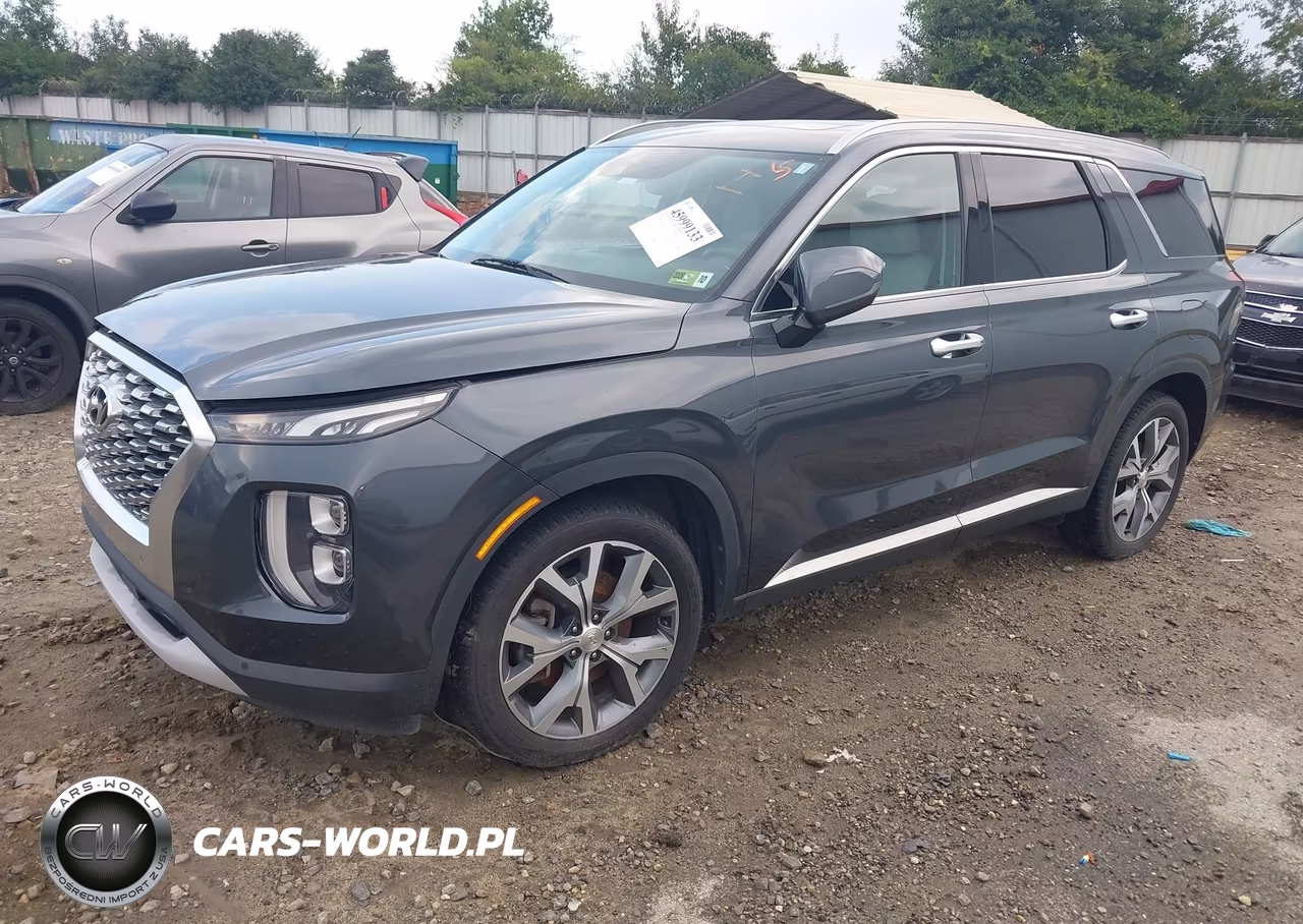 2020 Hyundai Palisade Sel VIN:KM8R3DHE5LU141208 - 2
