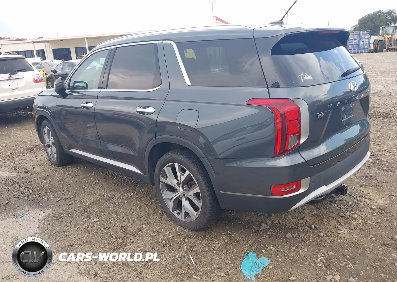 2020 Hyundai Palisade Sel VIN:KM8R3DHE5LU141208 - 3