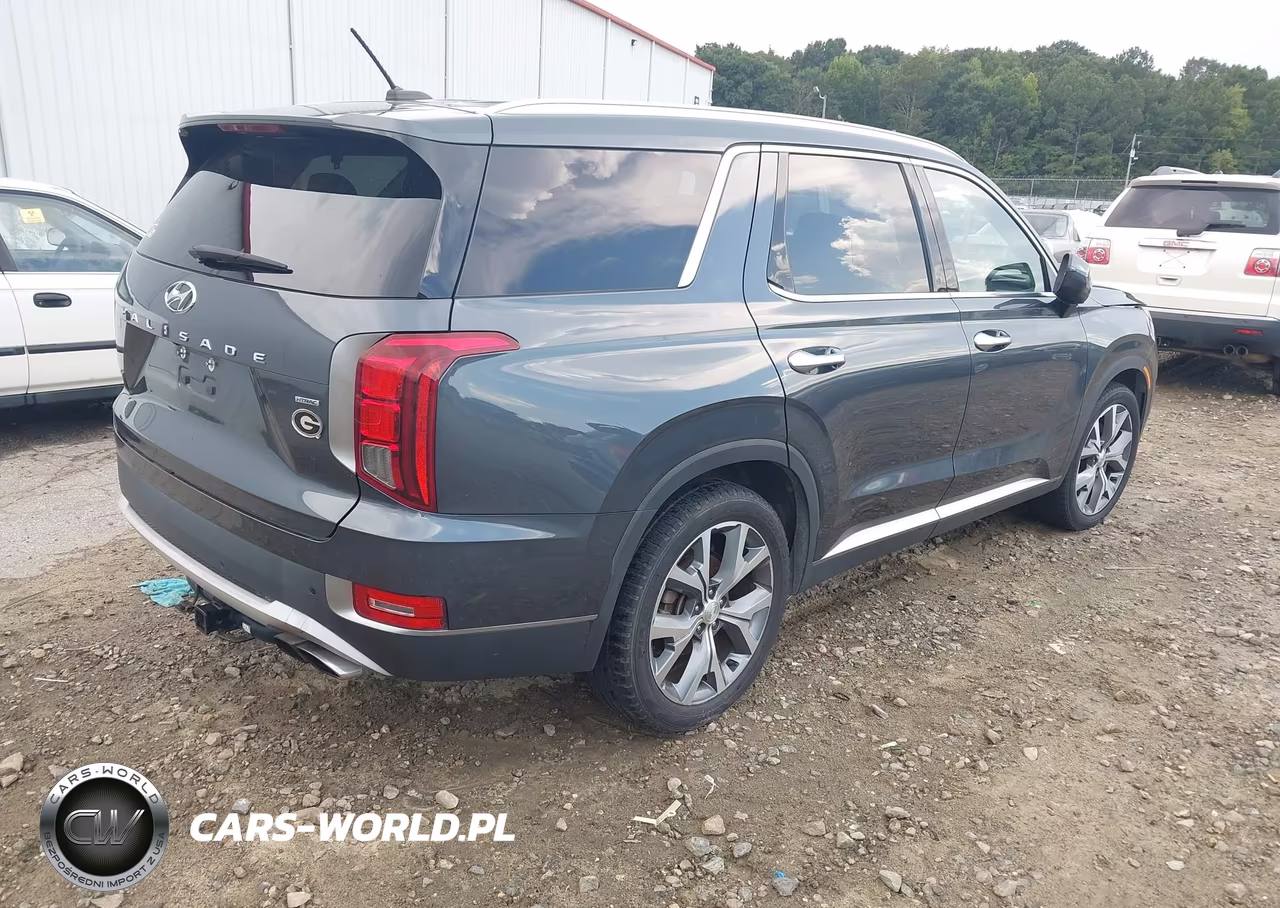 2020 Hyundai Palisade Sel VIN:KM8R3DHE5LU141208 - 4