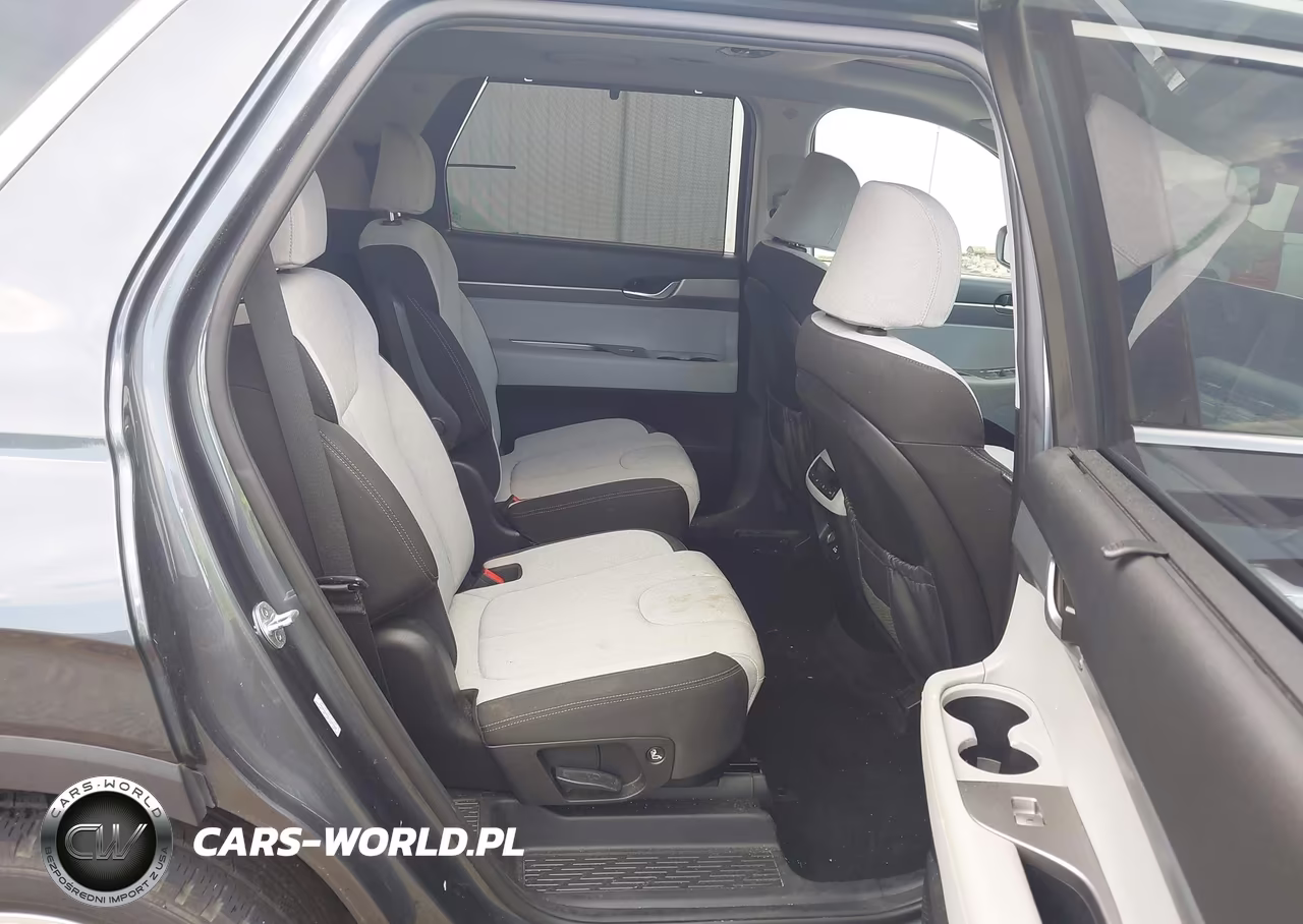 2020 Hyundai Palisade Sel VIN:KM8R3DHE5LU141208 - 8