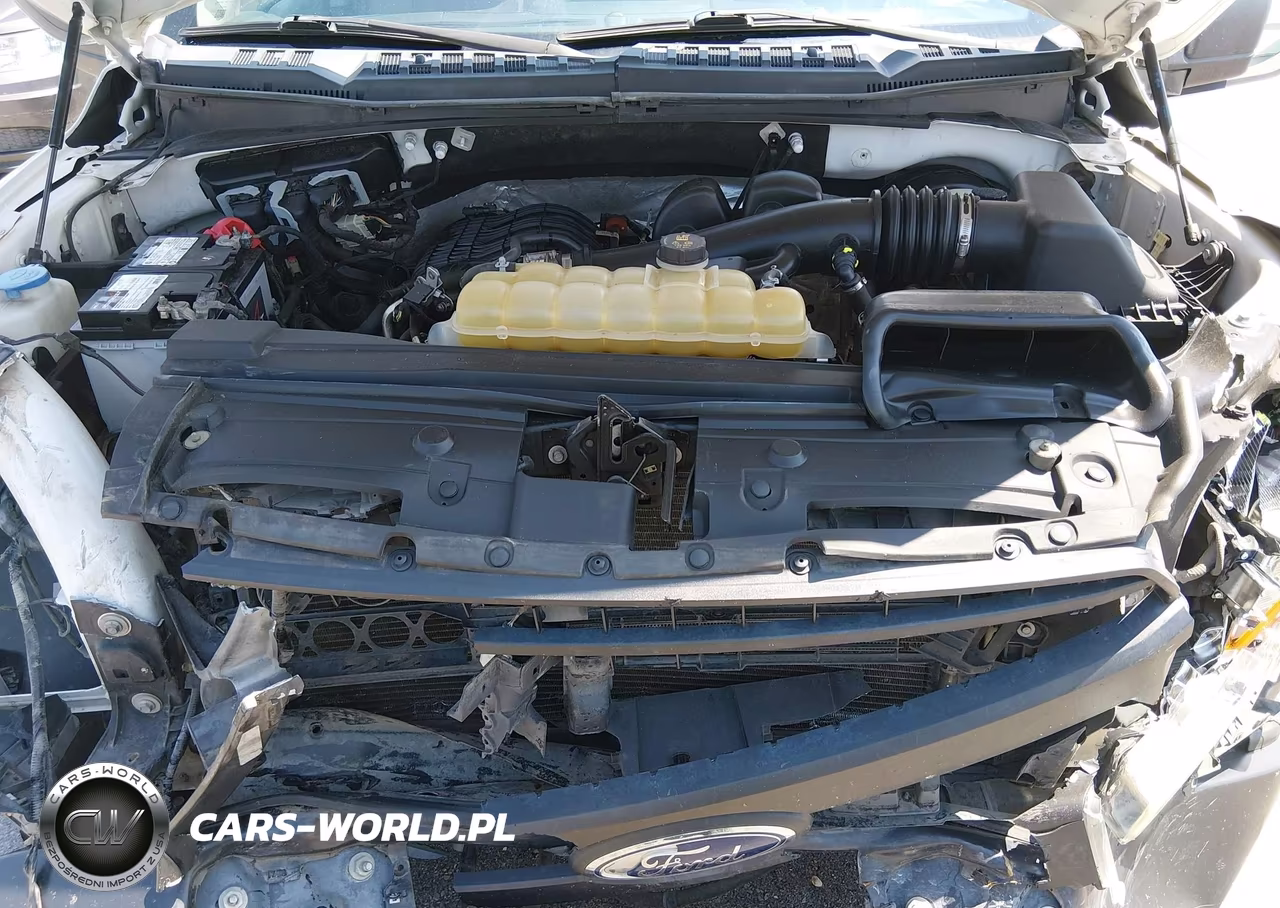 2019 Ford F-150 Xl VIN:1FTEX1CB0KKE52834 - 10