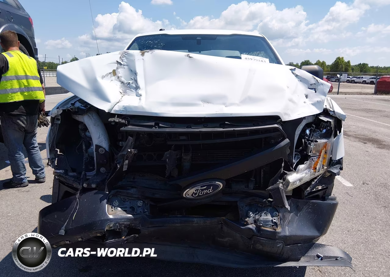 2019 Ford F-150 Xl VIN:1FTEX1CB0KKE52834 - 12