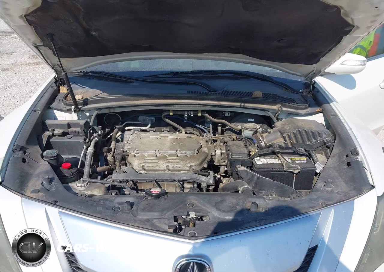 2010 Acura Zdx VIN:2HNYB1H69AH501097 - 10