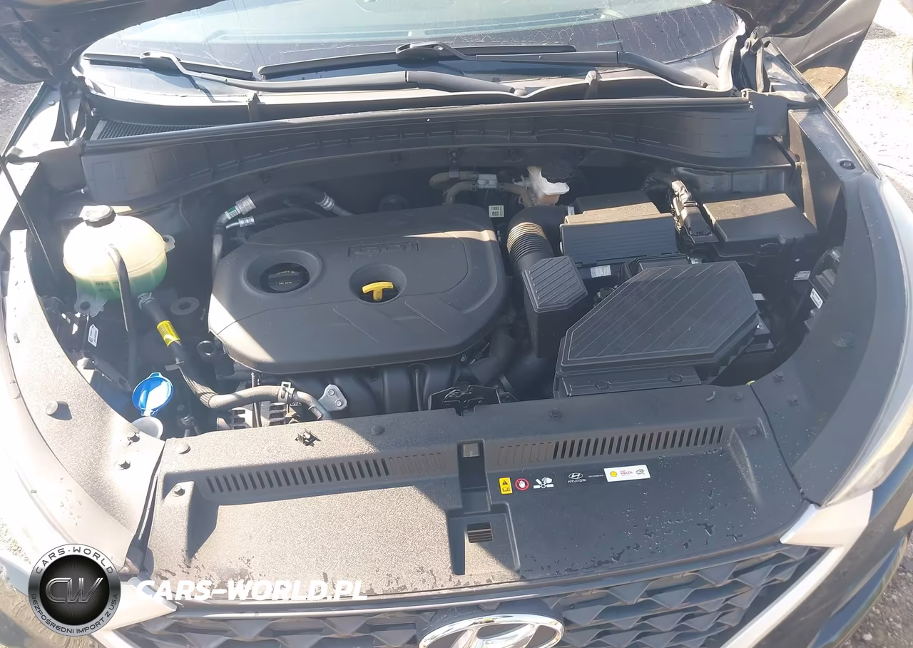 2019 Hyundai Tucson Value VIN:KM8J33A49KU024884 - 10