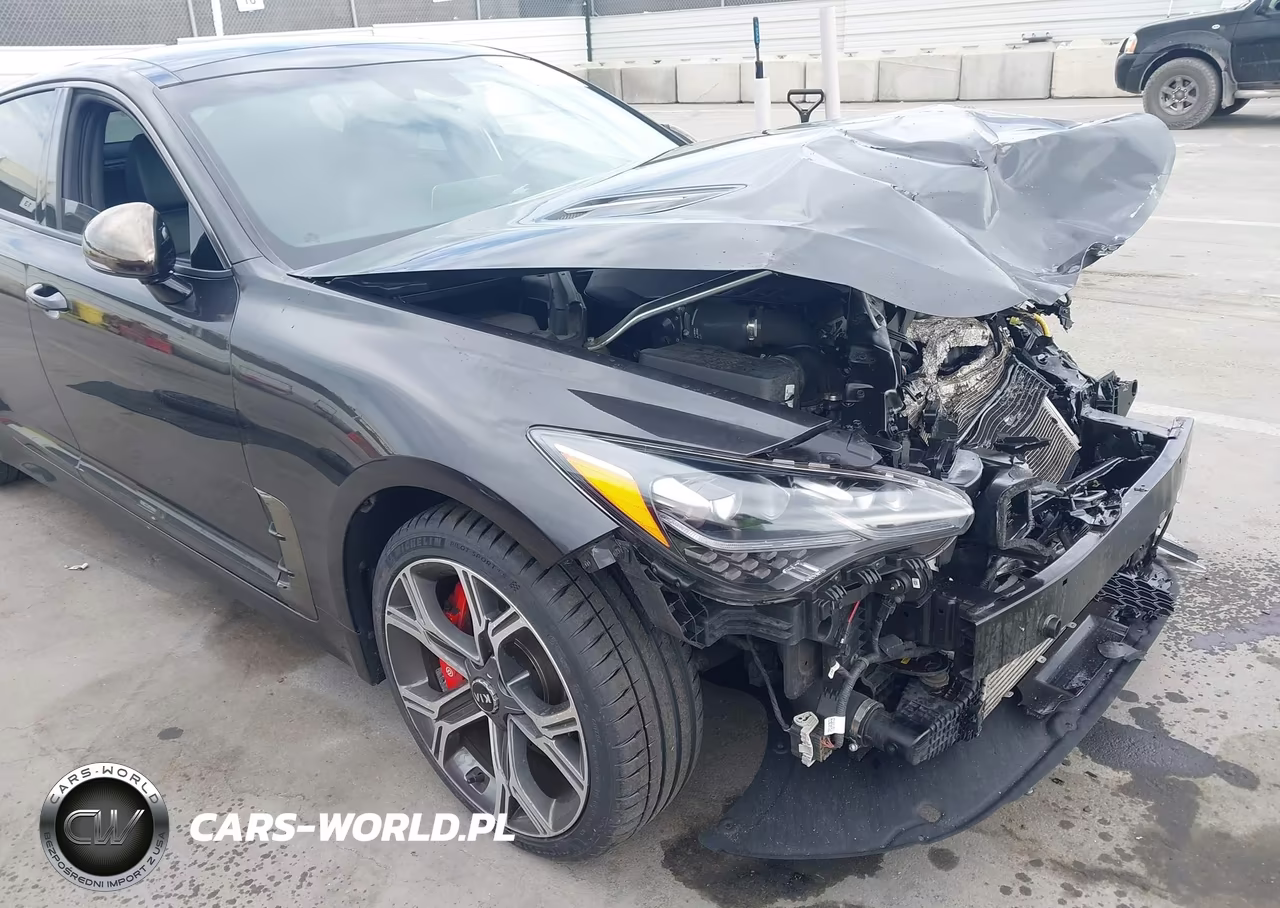 2021 Kia Stinger Gt1 VIN:KNAE45LC0M6092319 - 19