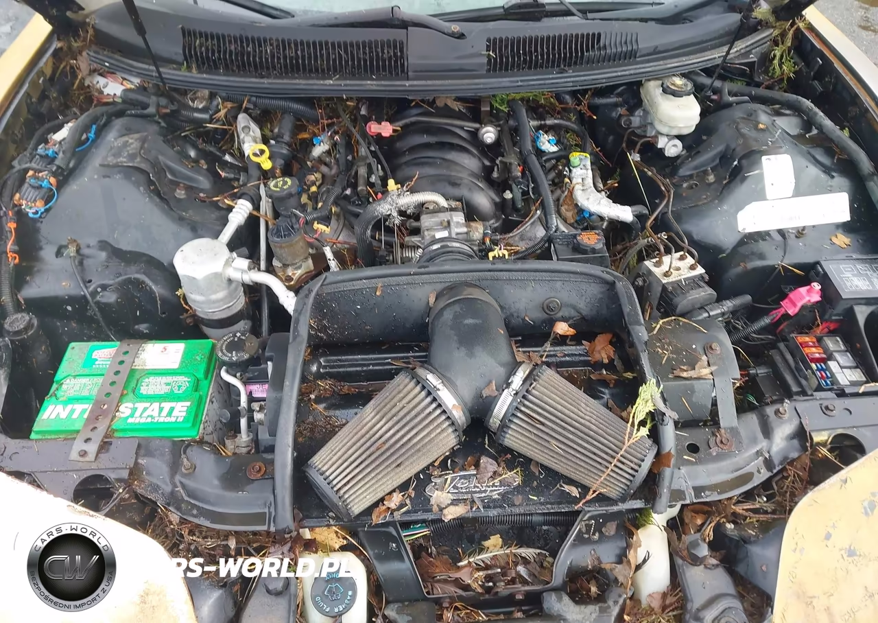 1998 Pontiac Firebird Trans Am VIN:2G2FV22G3W2230726 - 10