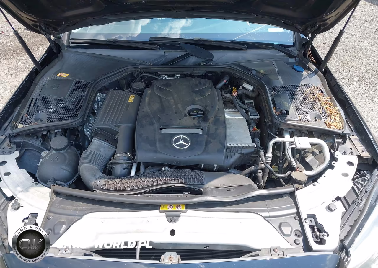 2016 Mercedes-Benz C 300 VIN:55SWF4JB4GU143043 - 10