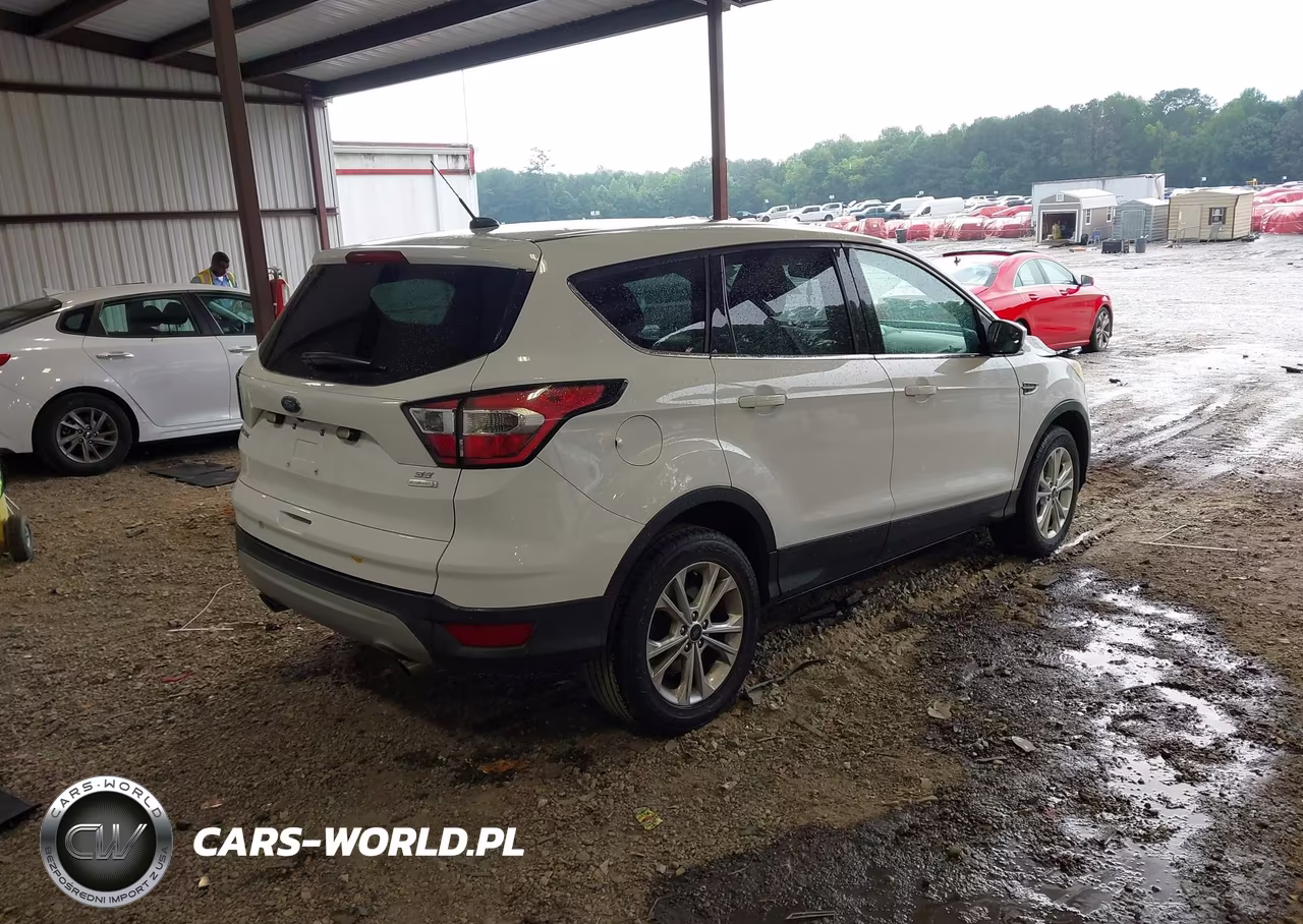 2017 Ford Escape Se VIN:1FMCU0G92HUB96674 - 4