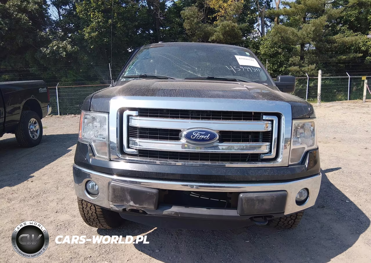 2014 Ford F-150 Xlt VIN:1FTEX1EM7EFB21406 - 13