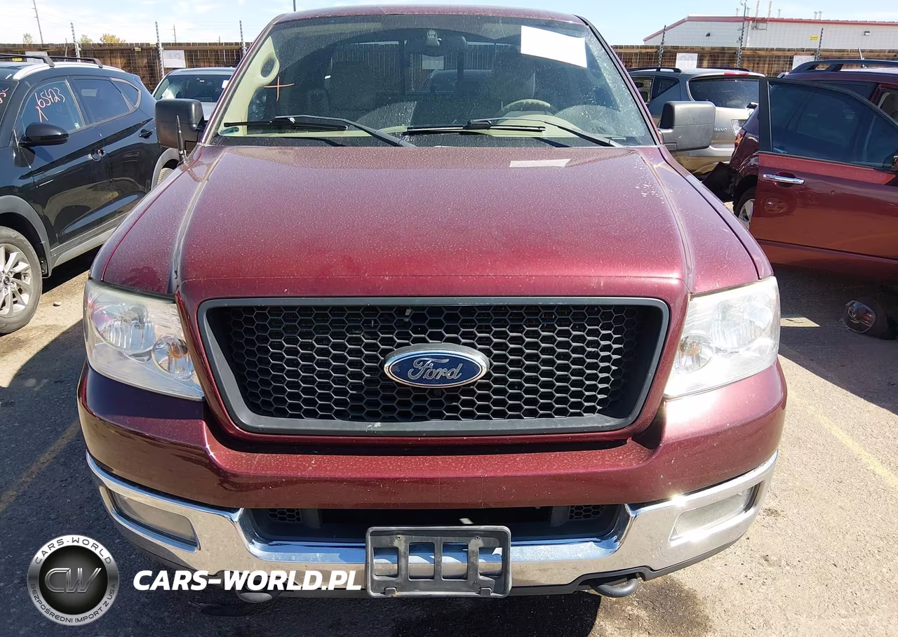 2004 Ford F-150 Fx4-Lariat-Xl-Xlt VIN:1FTPX14574NA49324 - 12