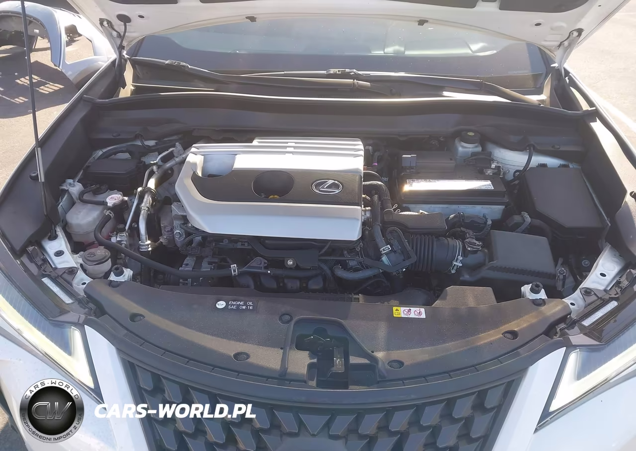 2021 Lexus Ux 200 VIN:JTHX3JBH0M2038416 - 10