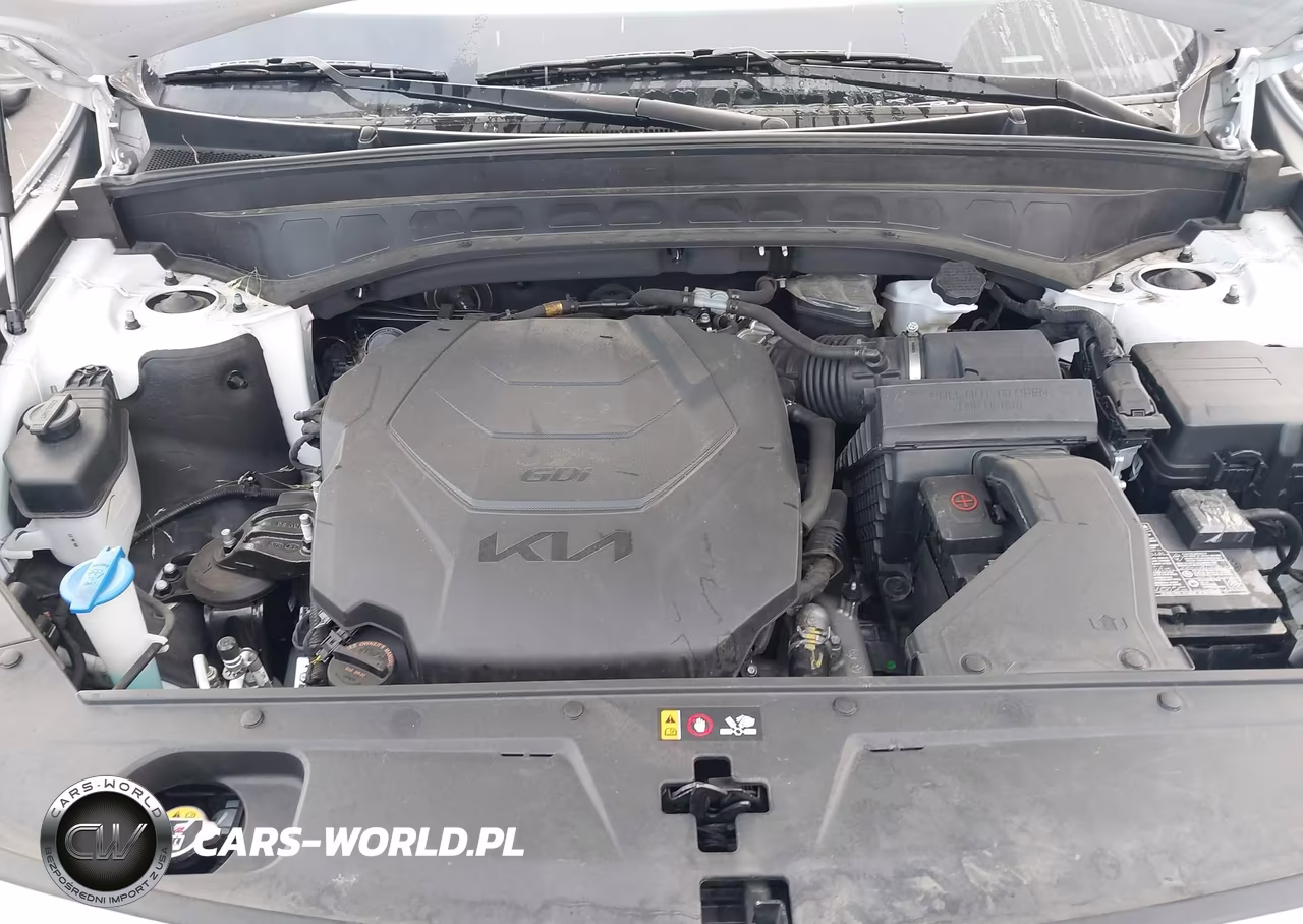 2024 Kia Telluride Lx VIN:5XYP24GC3RG554480 - 10