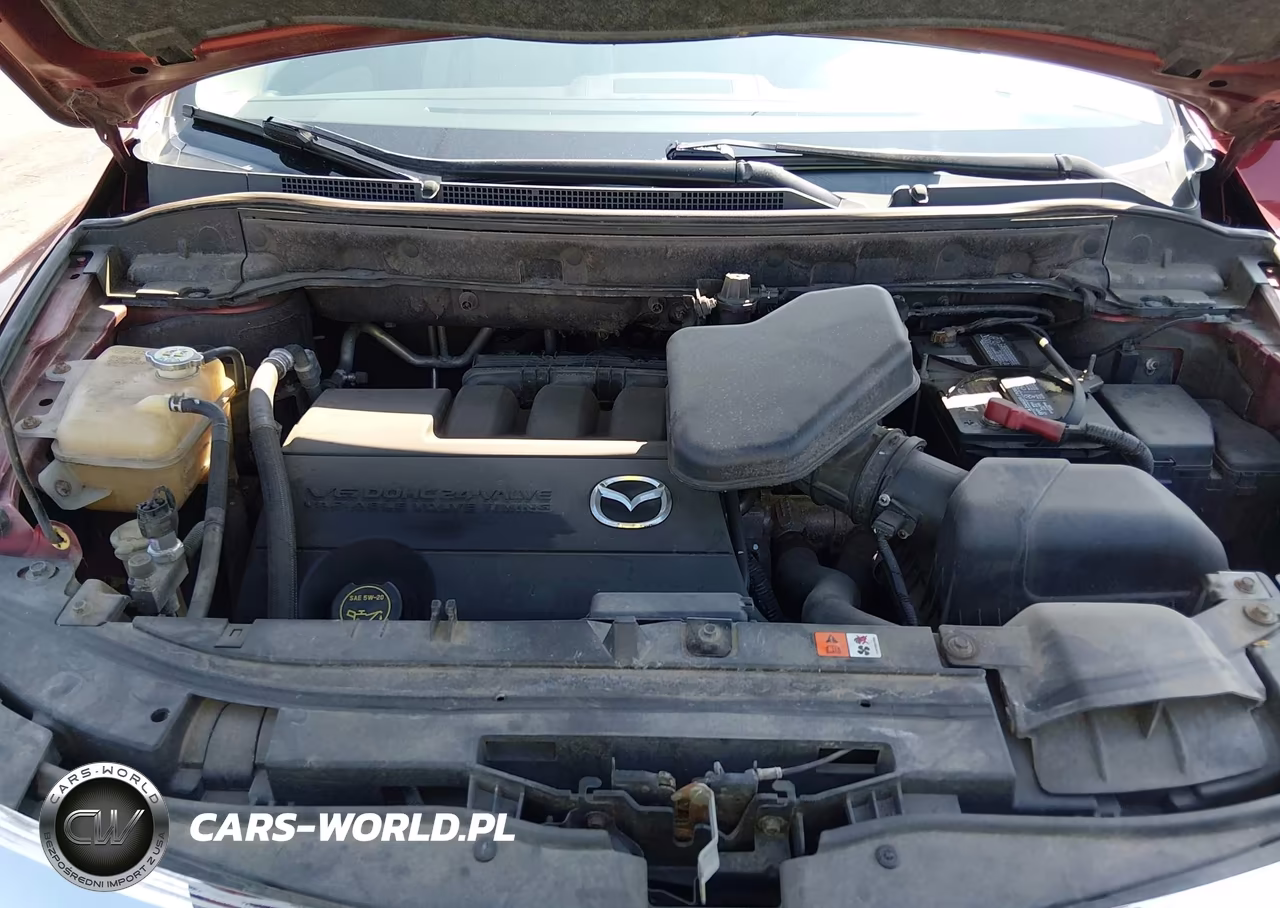 2010 Mazda Cx-9 Touring VIN:JM3TB2MV4A0217522 - 10