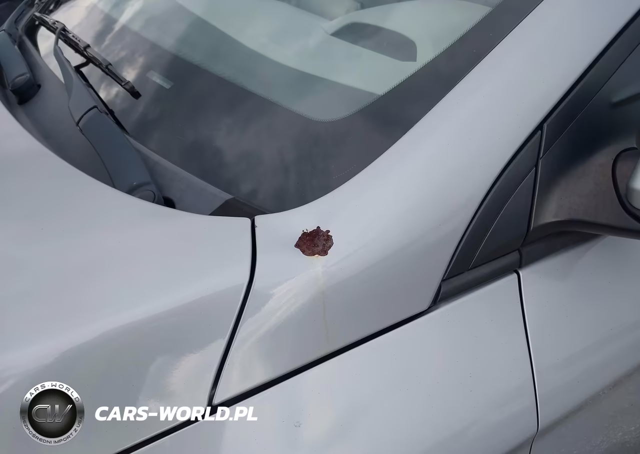 2020 Hyundai Ioniq Hybrid Blue VIN:KMHC65LC8LU218131 - 12