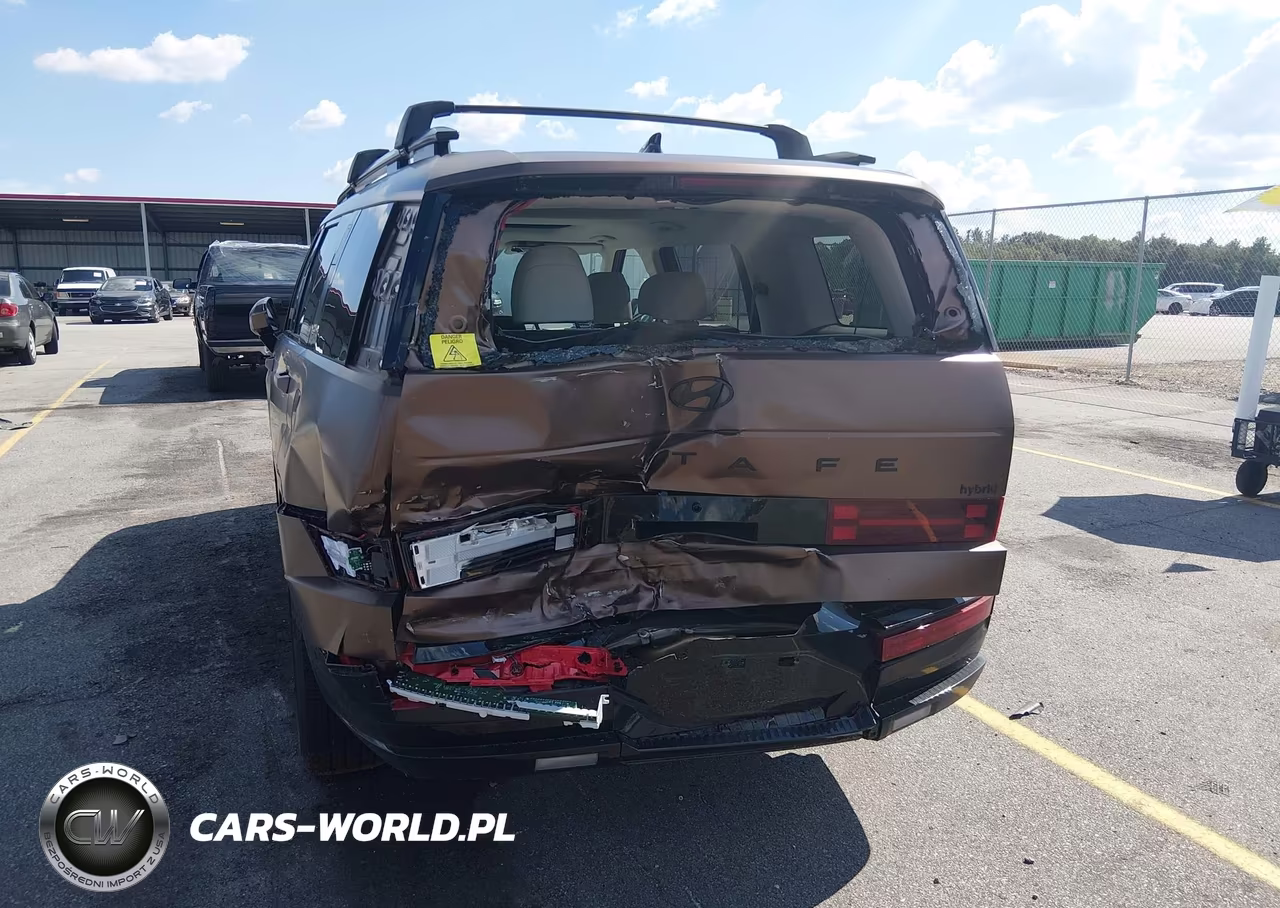 2025 Hyundai Santa Fe Hybrid Calligraphy VIN:5NMP54G14SH045757 - 6