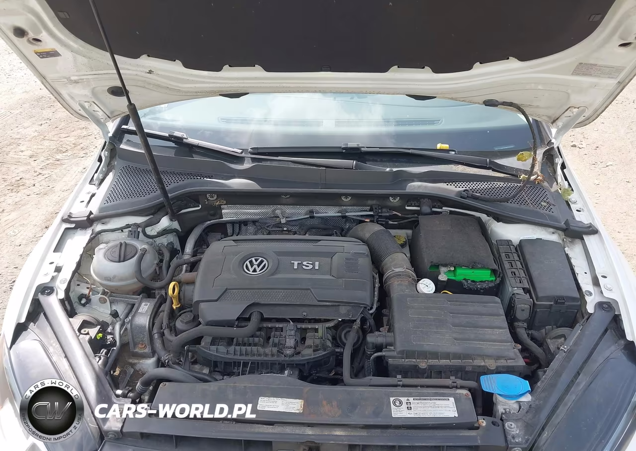 2017 Volkswagen Golf Tsi S 4-Door VIN:3VW117AU2HM005685 - 10