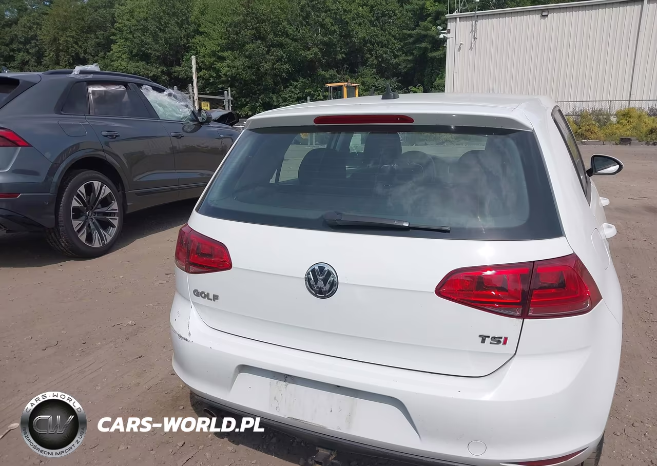 2017 Volkswagen Golf Tsi S 4-Door VIN:3VW117AU2HM005685 - 16