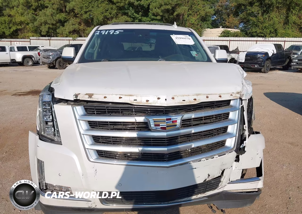 2016 Cadillac Escalade Premium Collection VIN:1GYS4CKJXGR306739 - 13