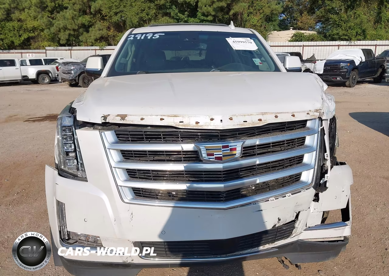 2016 Cadillac Escalade Premium Collection VIN:1GYS4CKJXGR306739 - 18
